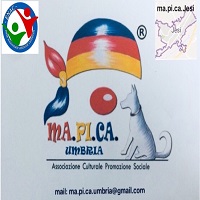 logo mapica