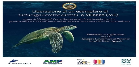 Milazzo (ME) Liberazione (video) esemplare di tartaruga Caretta Caretta