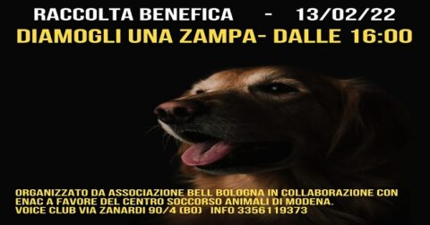 Diamogli una zampa: Iniziativa a favore centro soccorso animali di Modena