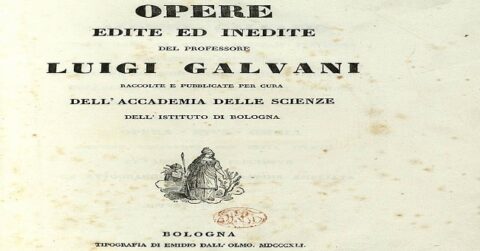 Un po’ di storia italiana in più quando usate il verbo galvanizzare